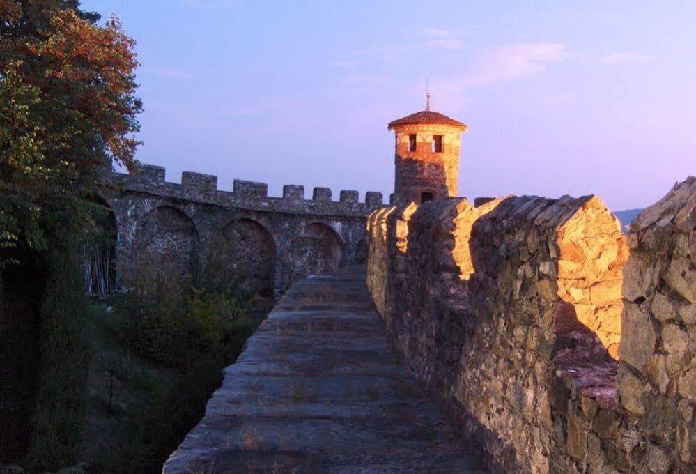 Castello Di Pavone Hotel Pavone Canavese Exterior photo
